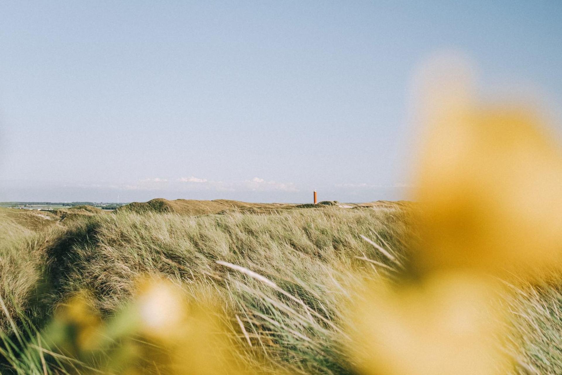 Beach Appartement 14 - Aan De Duinen, Callantsoog Aan Zee Экстерьер фото